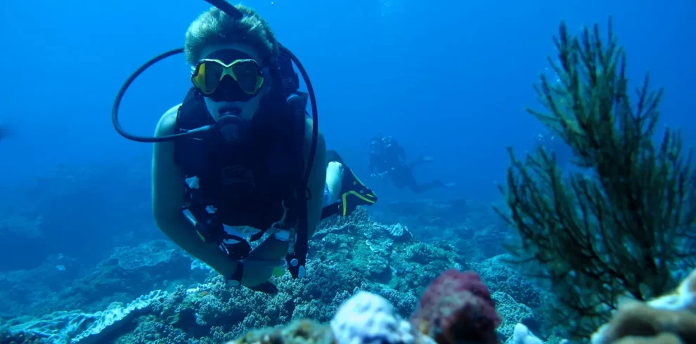 SSI/PADI Scuba Diver Course (Theory+ Pool Session+2 OW Dives)