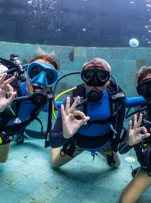 SSI/PADI Open Water Course (Theory+ Pool Session+4 OW Dives)