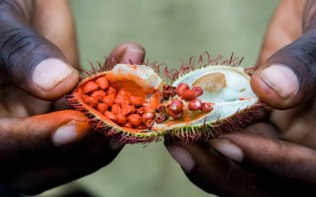 Spice Farm Tour with Tropical Fruits Taste - Half-day Guided Trip