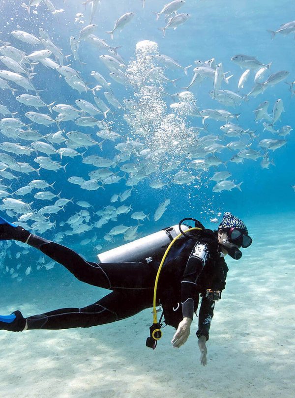 SSI/PADI Open Water Course (Theory+ Pool Session+4 OW Dives)