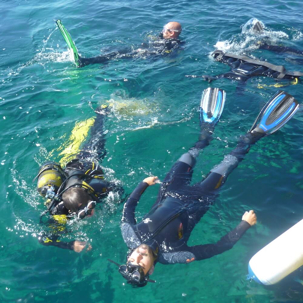 SSI/PADI Rescue Dive Courses +EFR Course (Emergence First-Aid Responder)