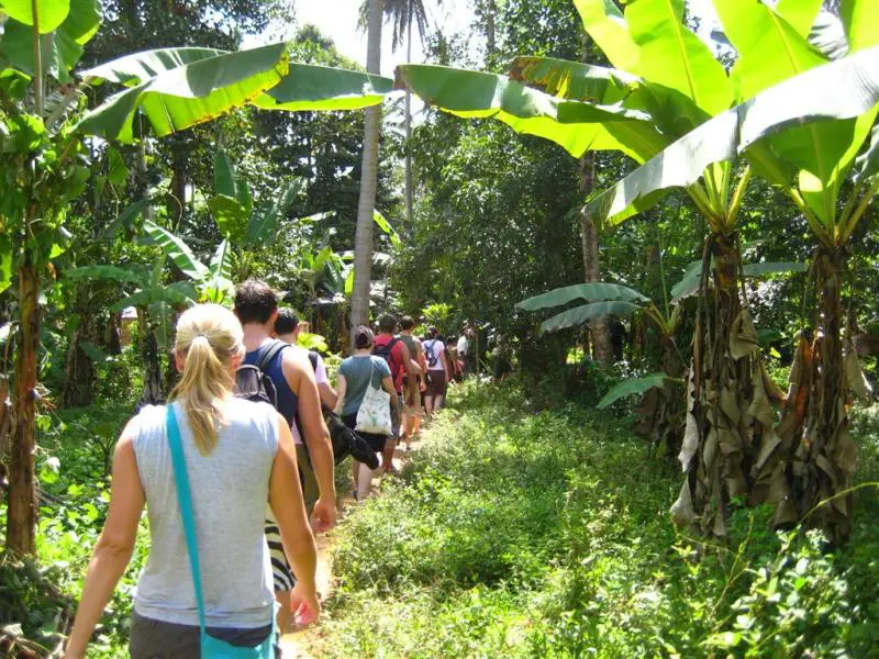 Spice Farm Tour with Tropical Fruits Taste - Half-day Guided Trip